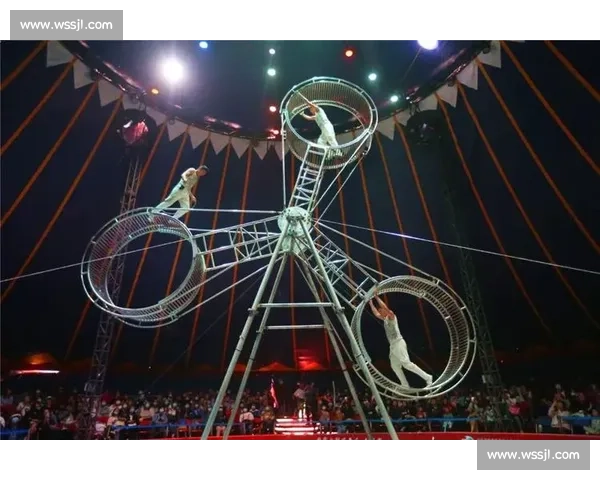 世界杂技大赛：精彩纷呈的全球艺术竞技盛宴